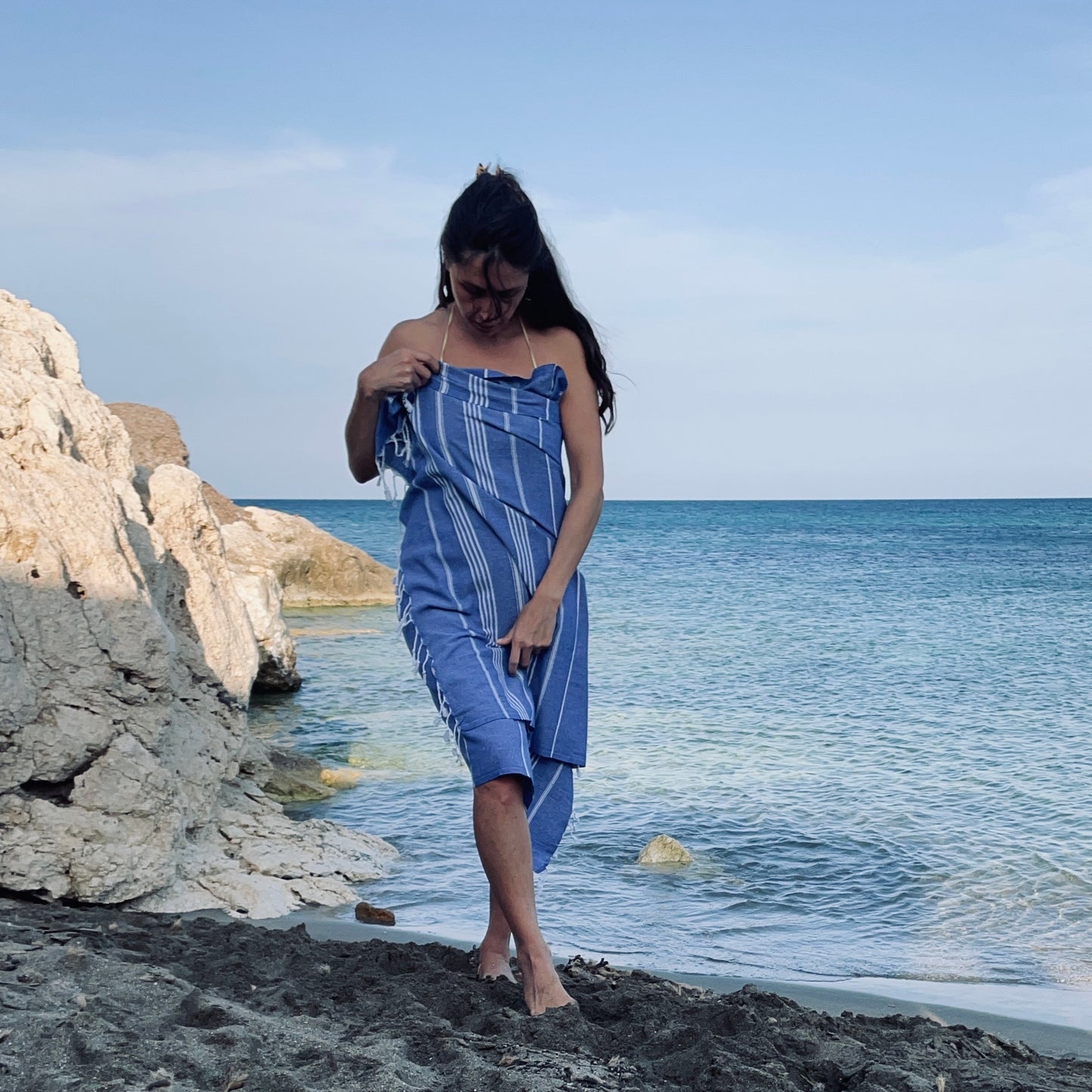Beach Boys Blue